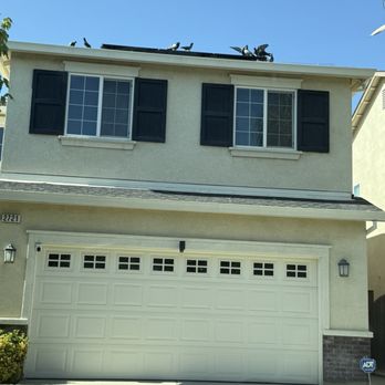 Bird Proof - Birds on the roof - Wildlife Control Near Me - Lathrop, California