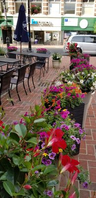 Nadim's Downtown Mediterranean Grill by null