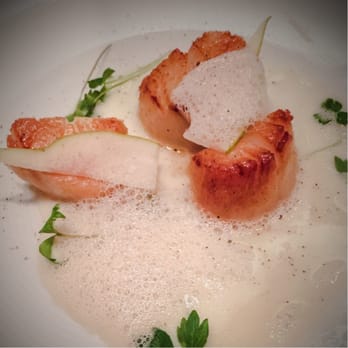 Luce - Diver Scallops - so yummy! - Wine Bars Near Me - San Francisco, California Luce - Diver Scallops - so yummy! - Wine Bars Near Me - San Francisco, California