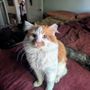 Eastside Animal Shelter