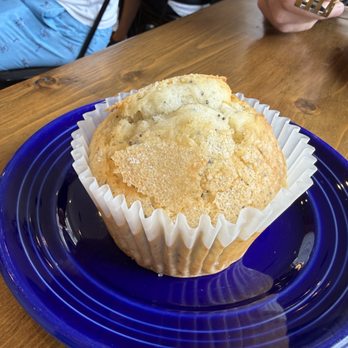 The Perfect Crumb Bakery - lemon poppyseed muffin - Bakeries Near Me - Pacific Grove, California The Perfect Crumb Bakery - lemon poppyseed muffin - Bakeries Near Me - Pacific Grove, California