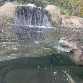 Sequoia Park Zoo - Zoos Near Me - Eureka, California