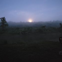 Pettit's Canoe Rental - Great Moon rise
