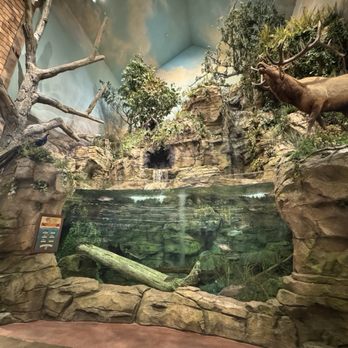 Bass Pro Shops - Aquarium - Accessories Near Me - Irvine, California