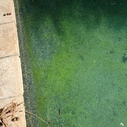 Pinch A Penny Pool Patio Spa