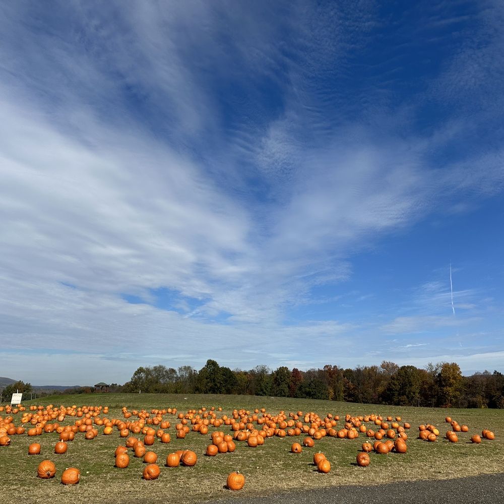 Barton Orchards - Pumpkin patch - Farmers Market Near Me - Poughquag, New York Barton Orchards - Pumpkin patch - Farmers Market Near Me - Poughquag, New York