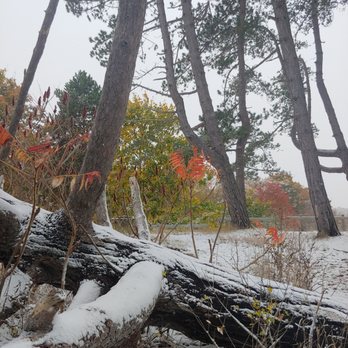 Odiorne Point State Park - Parks Near Me