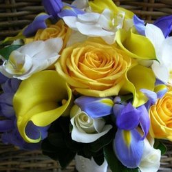 Nectar Custom Floral Designs - Bridal bouquet with white phalaenopsis orchids,  yellow mini calla lilies, blue iris, white and yellow roses.