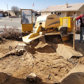Monkey's Tree Services - We here to help you - Tree Services Near Me - Albuquerque, New Mexico