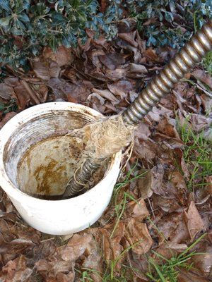 Affordable drain cleaning