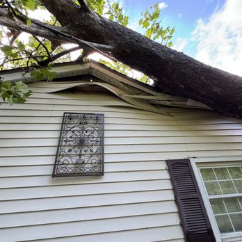 Airbourne Tree Service - Tree Services Near Me - Indianapolis, Indiana