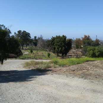 Willow Springs Park - View of the cemetery taken from the top. - Parks Near Me - Long Beach, California Willow Springs Park - View of the cemetery taken from the top. - Parks Near Me - Long Beach, California