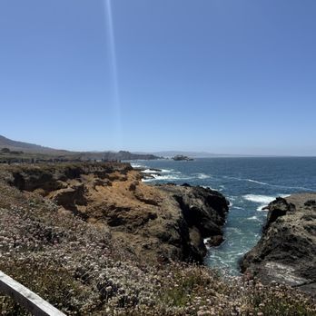 Pacific Star Winery - Wineries Near Me - Fort Bragg, California Pacific Star Winery - Wineries Near Me - Fort Bragg, California