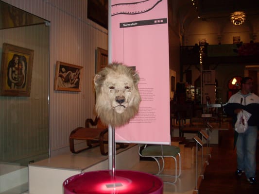 Brighton Museum & Art Gallery by null