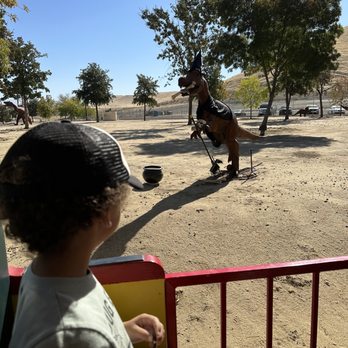 CALM Zoo - Summer season, train ride! - Zoos Near Me - Bakersfield, California
