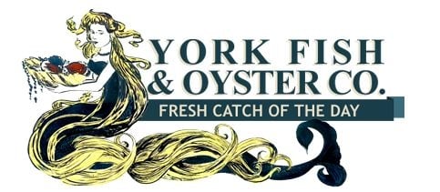 York Fish & Oyster Logo