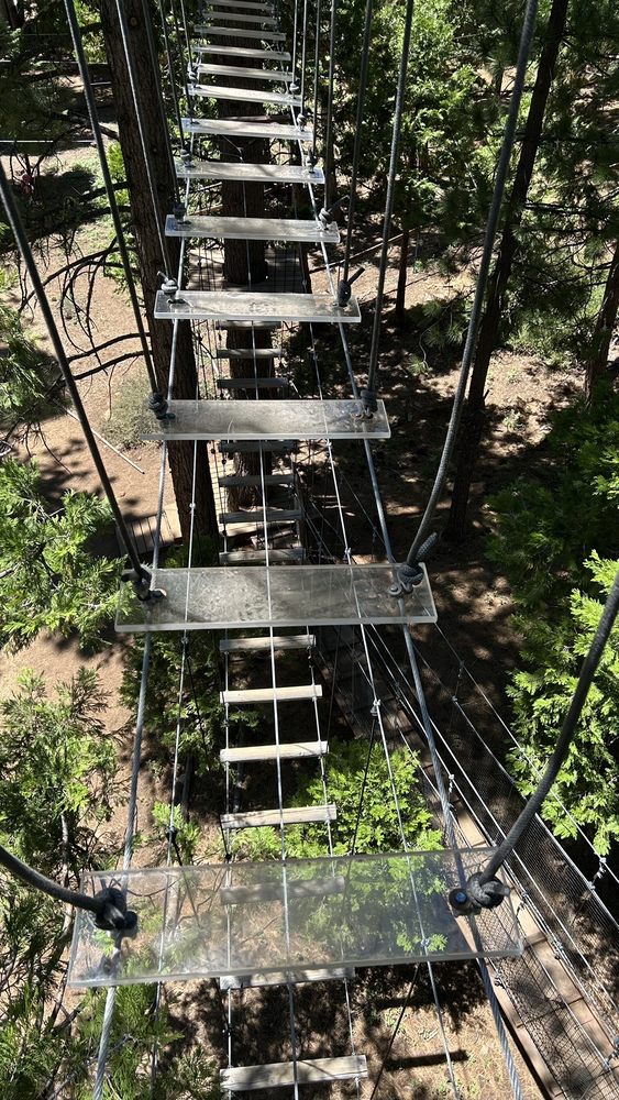 Tahoe Vista Treetop Adventure Park