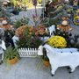 Photo of Wildflower Nursery Garden and Gift Shoppe
