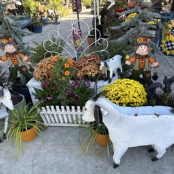 Wildflower Nursery Garden and Gift Shoppe - Great Place to spend time getting ahead of the Holidays!!