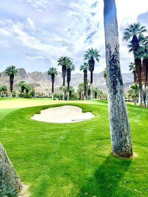 Nick's Italian Bistro by null