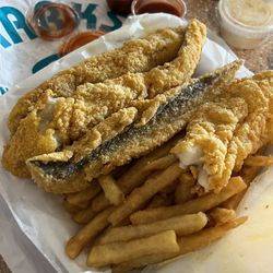 Sharks  Fish &  Chicken - Jack Salmon