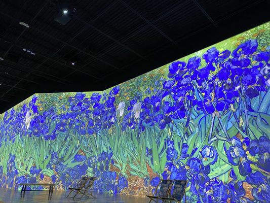Van Gogh: The Immersive Experience by null