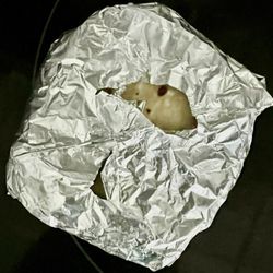 Pupuseria Sabor Latino II - Tortillas for the Fajita Mix