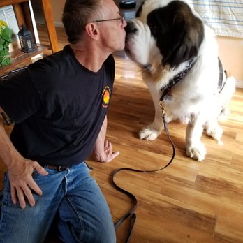 Proofing Behaviors Canine Obedience - A grateful and happy boy. - Pet Training Near Me Proofing Behaviors Canine Obedience - A grateful and happy boy. - Pet Training Near Me