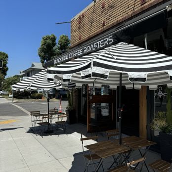Black Dog Coffee Roasters - Coffee Roasteries Near Me - Long Beach, California