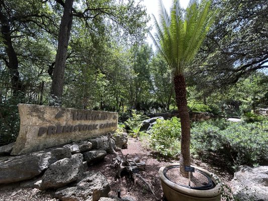 Zilker Botanical Garden by null