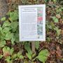 Photo of Tower Hamlets Cemetery Park
