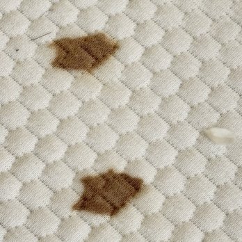 Padre Hotel - Stains on mattress - Hotels Near Me - Bakersfield, California Padre Hotel - Stains on mattress - Hotels Near Me - Bakersfield, California