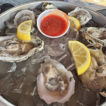Riviera Bar and Grill - Delicious oysters - Bars Near Me - Punta Gorda, Florida