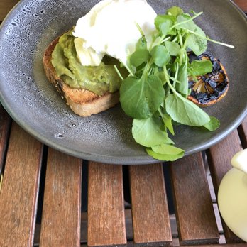 The Yellow House - Avocado on toast - Coffee & Tea Near Me - Whanganui, MWT The Yellow House - Avocado on toast - Coffee & Tea Near Me - Whanganui, MWT