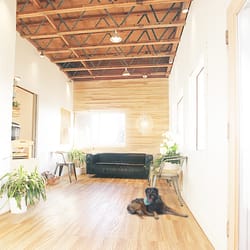 Malibu Vet Clinic - Malibu Vet Clinic on Point Dume, finishes renovations of lobby. Welcome!