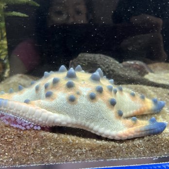 Flint RiverQuarium - Aquariums Near Me - Albany, Georgia