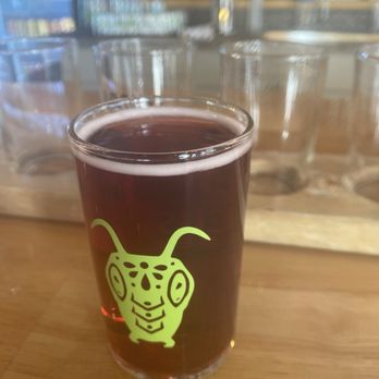 Locust Cider Fort Collins - Blackberry cider - Cideries Near Me - Fort Collins, Colorado