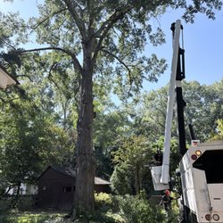 Snipes Tree Service