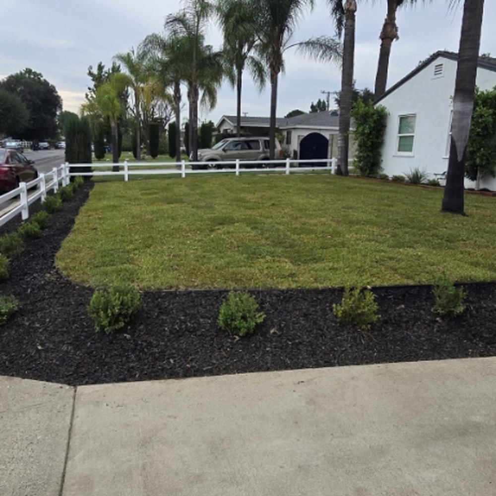 TOP 10 BEST Yard Work in West Covina, CA - Updated 2026 - Yelp