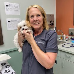 PetAlliance Veterinary Care