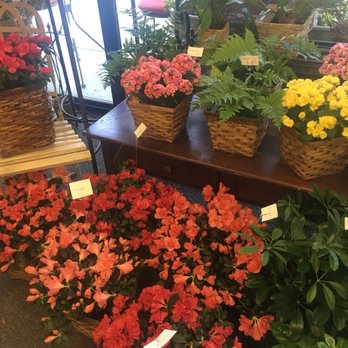 Victoria Park Florist - Florists Near Me - Chapel Hill, North Carolina Victoria Park Florist - Florists Near Me - Chapel Hill, North Carolina