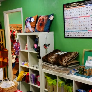 Gurrs & Purrs - Pet Groomers Near Me - DeLand, Florida