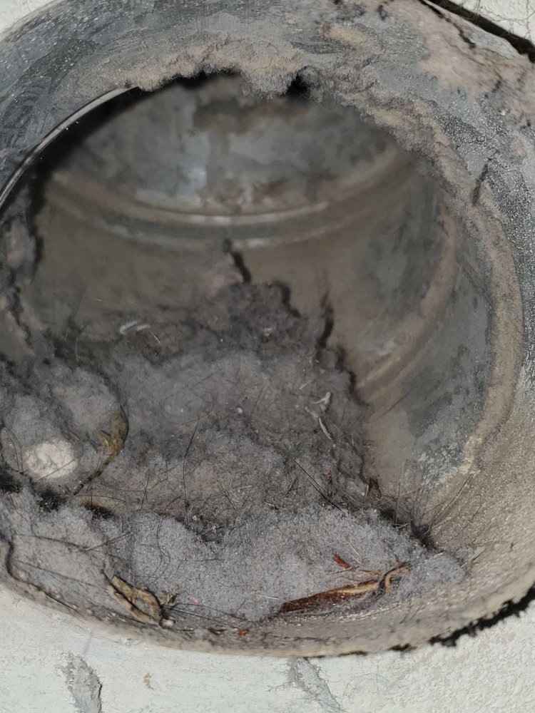 OCALA DRYMASTER Updated October 2024 31 Photos Ocala, Florida