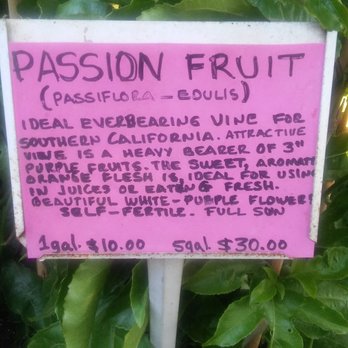 Exotica Rare Fruit Nursery - Nurseries & Gardening Near Me - Vista, California Exotica Rare Fruit Nursery - Nurseries & Gardening Near Me - Vista, California