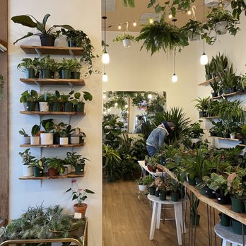 Babygreens - Nurseries & Gardening Near Me - Bellingham, Washington