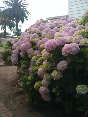 New Orleans Creole Cafe by null