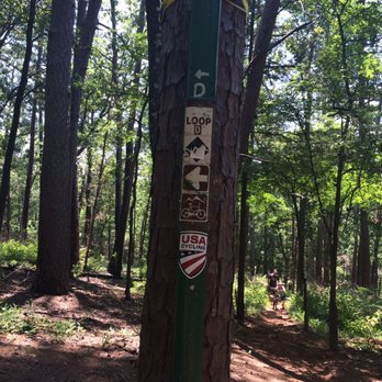 Tyler State Park - Parks Near Me - Tyler, Texas Tyler State Park - Parks Near Me - Tyler, Texas