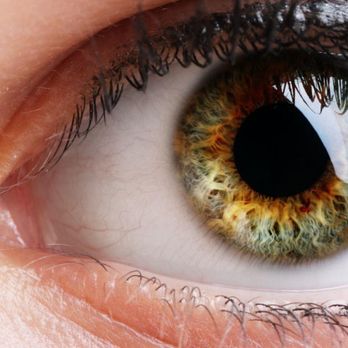 Trans Canada Vision Care - Photo - Optometrists Near Me - Calgary, Alberta Trans Canada Vision Care - Photo - Optometrists Near Me - Calgary, Alberta