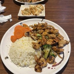 Ninja Hibachi Grill - Chicken and shrimp hibachi