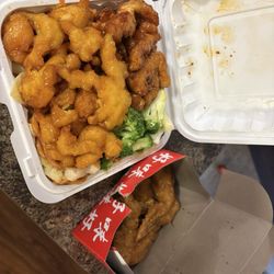 Asian Gourmet Wok and Grill - Orange chicken, General Tso's Chicken, on Shanghai Noodles with Crispy Chicken Wings  10 pcs